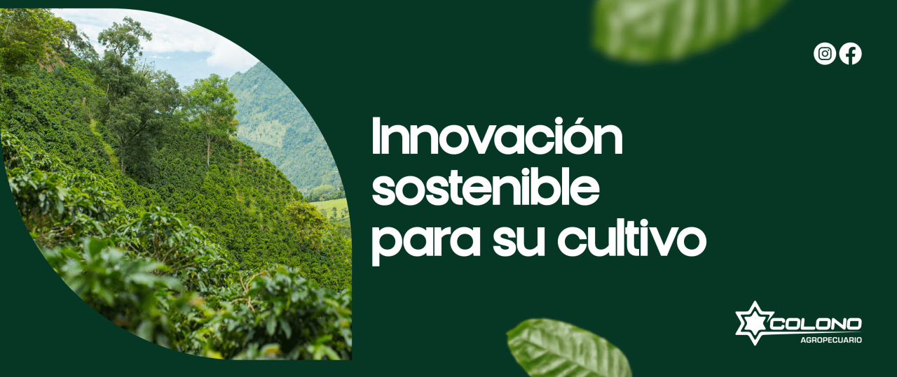 Innovación sostenible para su cultivo - Un siembro de café
